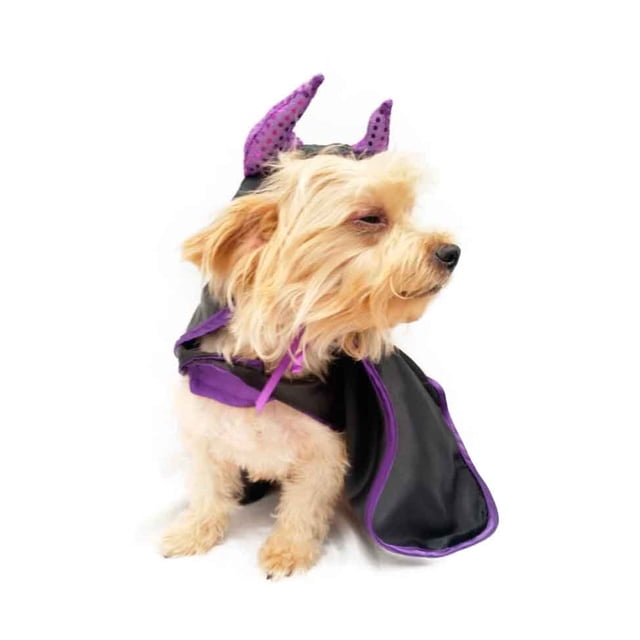 Disfraz Malefican Pet Pals para Perro Halloween Talla 4