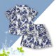 thumbnail image 2 of Odeerbi 1-8 Años Conjunto de Verano Para Niños de Hawaianos Camiseta de Manga Corta de Algodón Con Estampado Tropical Conjunto de Dos Piezas de Gráficos, 2 of 3