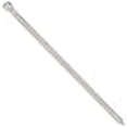 thumbnail image 3 of Hillman Fasteners 461376 3.5 in. 16D Bright Finish Nail, 3 of 3