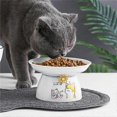 thumbnail image 2 of Pet Food PVC Mat Waterproof Non-slip Pet Feeding Mat Pet Bowl Mat, Pet Feeding Tray For Cats and Dogs (grey), 2 of 4