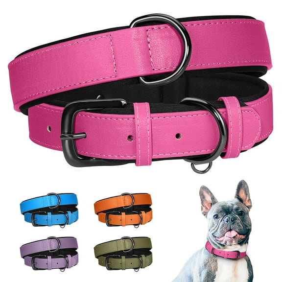 Didog Leather Dog Collar Soft Heavy Duty with Metal Buckle for Small Medium Large Dogs