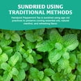 thumbnail image 3 of HANDPICK, Peppermint Tea, Eco-Conscious Tea Bags - 100 Count | Caffeine Free, Non-GMO | Minty, Fresh & Cool flavor | Direct From Source, 3 of 9