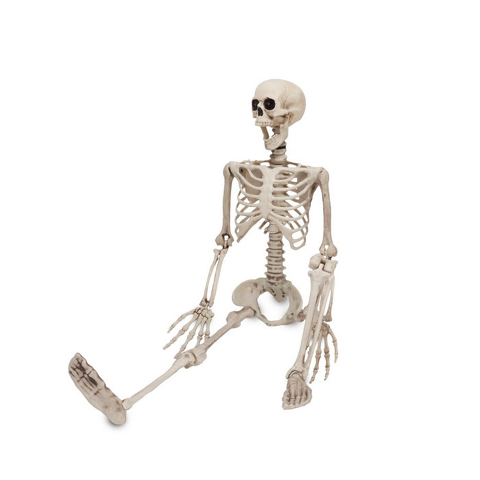 Sunisery Halloween Skeleton Decorations Full Body Realistic Faux Human