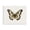 Vintage Symmetrical Butterfly_v1, variant on Stupell Industries Farmhouse Black Framed Giclee Art, 14 x 11, by Janet Tava