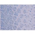 thumbnail image 2 of Zelouf Andy Rose Glitter Mesh  , Sewing, DIY, Crafts Fabric by the Yard, Arresting Navy, 7 Yard, 2 of 2