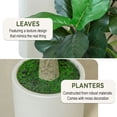 thumbnail image 4 of ROMSWI Artificial Fiddle Leaf Fig Tree 6FT Tall with White Planter, Natural Trunk Realistic Leaves Lifelike Faux Floor Plant For Home House Office Decor Indoor, 4 of 9