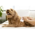 thumbnail image 4 of Palmer's Pets Refreshing Wipe for Dogs with Coconut Oil and Vitamin E, 100ct, 4 of 8