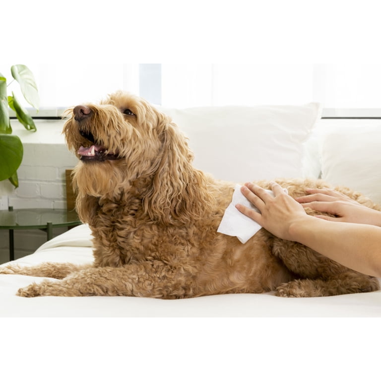 Cocoa Butter Dog Grooming Wipes with Vitamin E, 100 Count photo 4