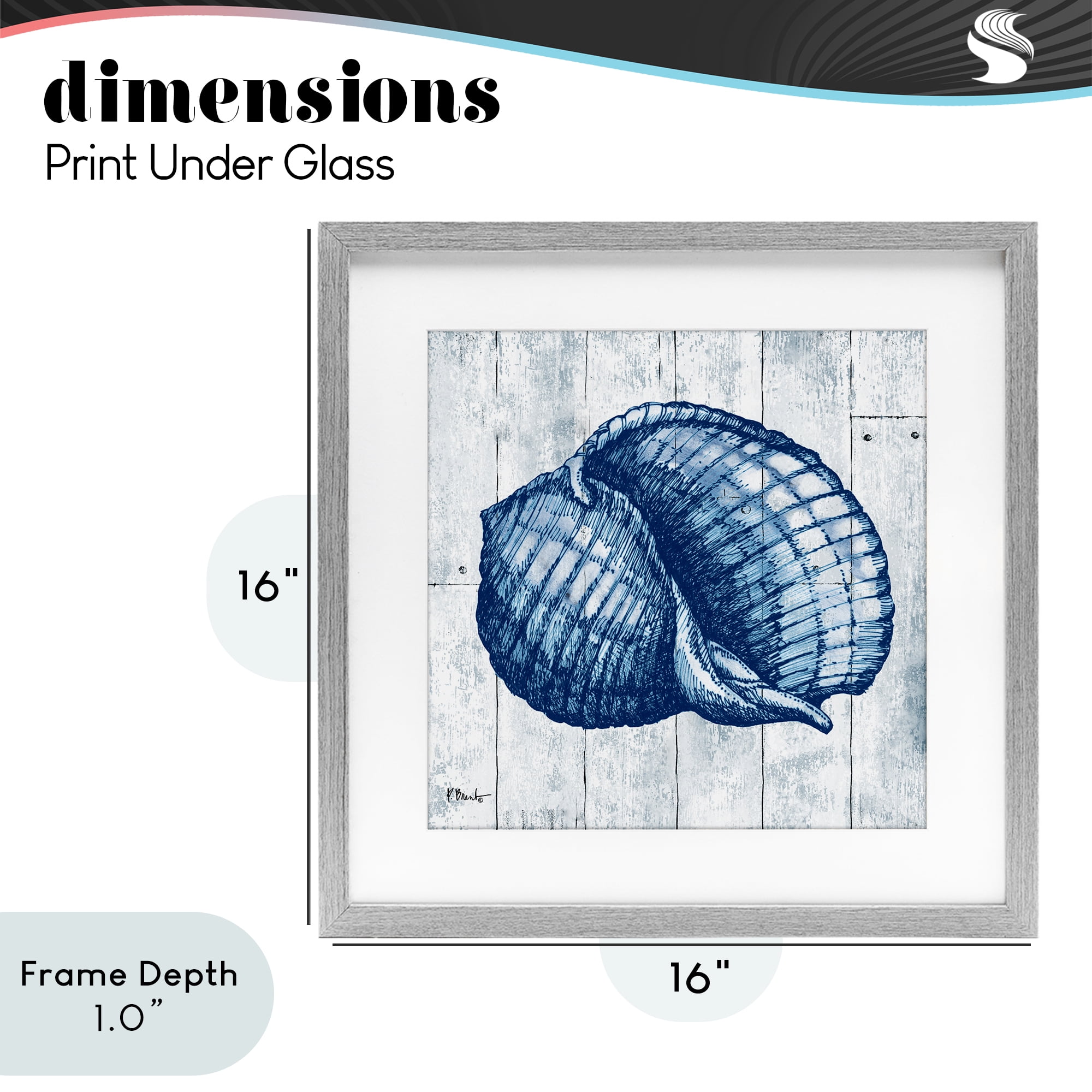 Stupell Industries Coastal Timberland Shell Gray Framed Print Under Glass, design by Paul Brent
