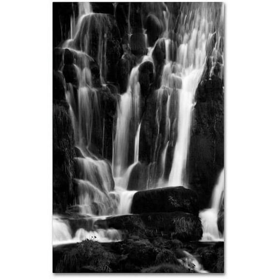 Trademark Fine Art "White Waterfall" Canvas Art by Philippe Sainte-Laudy