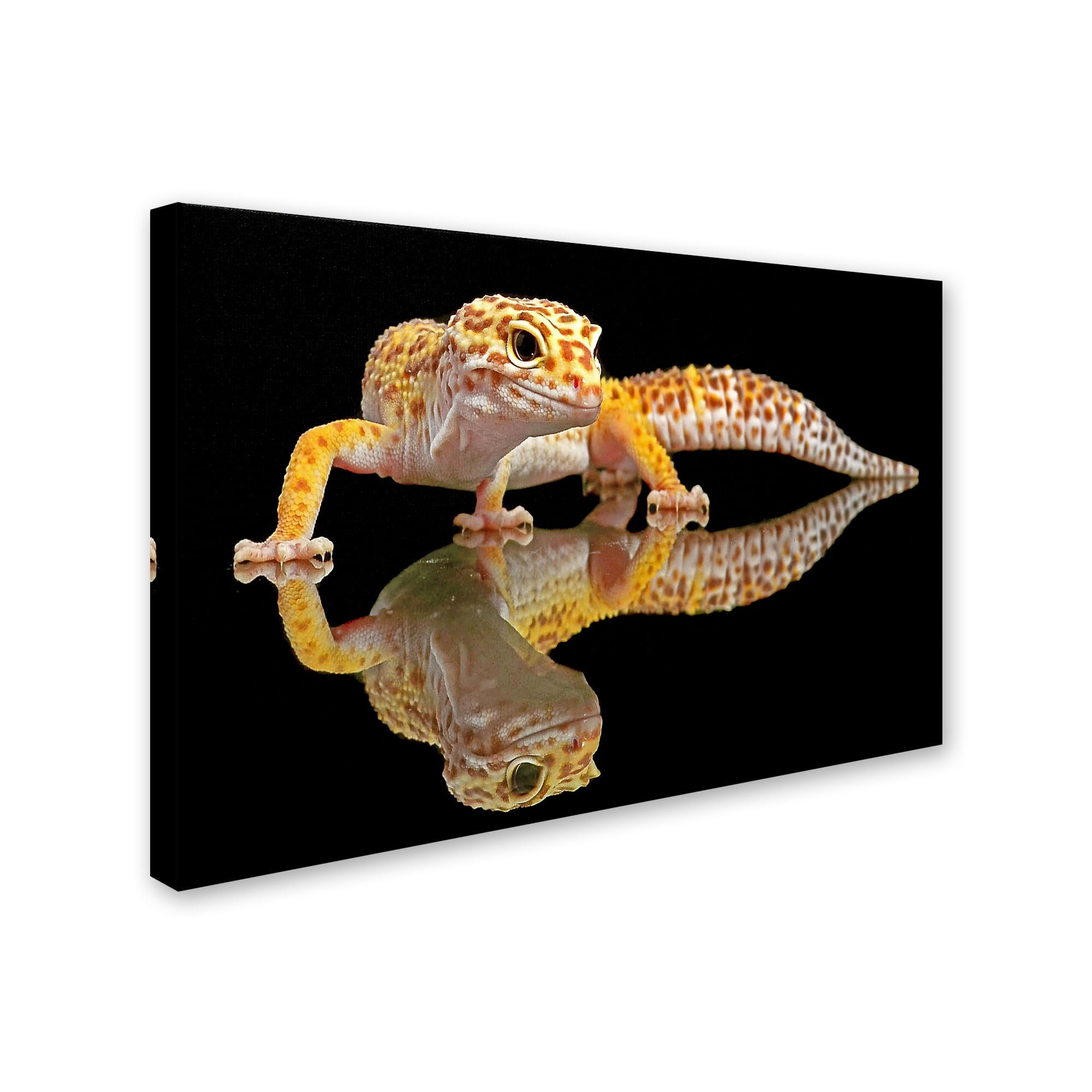 Dikky Oesin 'Leopard Gecko' Canvas Art