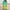 Mint Green, variant on XWSHYW Womens Clothes Women's Summer Tops Clearance, Round Neck Short Sleeve Long T-shirt Blouse Loose Tops, Sizes S-2XL