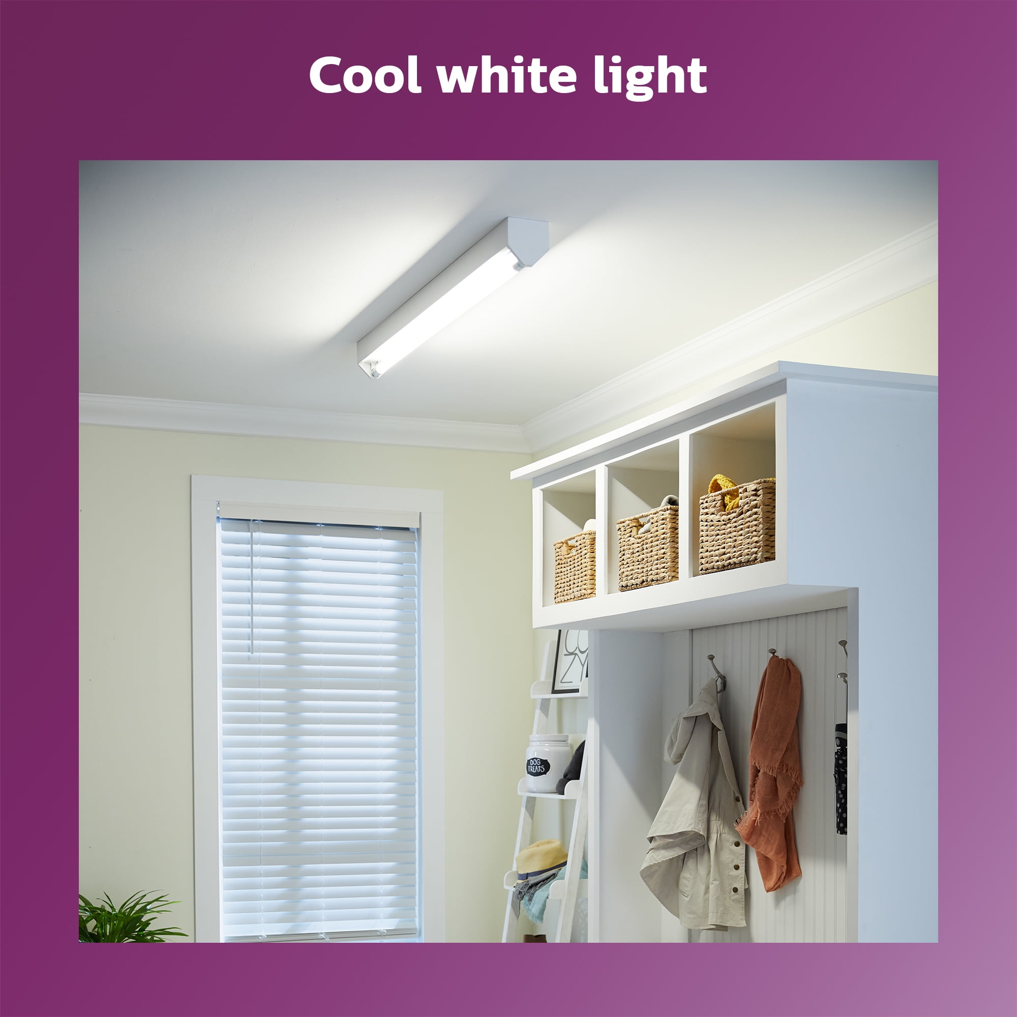 Philips Plug and Play 4Ft (48-inch) Type A T8/T12 Cool White 32-Watt LED Tube Light Bulb (2 Pack)
