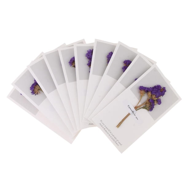 Paquete Flores Secas Tarjetas De Felicitación Tarjetas Florales Suave , Tarjeta De Deseos, Tarjeta De , Tarjetas De Agradecimie Myosotis Purple