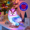 thumbnail image 4 of Kit de lámpara Paint Your Own Owl LAOESE con material de arte para niños de 6 a 12 años, 4 of 6