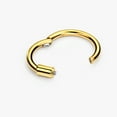 thumbnail image 4 of Surgical Steel Daith Earrings for Women 16 Gauge Helix Cartilage Ear Piercing Hoop 8mm Septum Jewelry Silver 16g 8mm Hinged Septum Ring Gold, 4 of 4