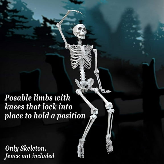 SUNRISEUMBRELLA Pose-N-Stay Life Size Skeleton Poseable Full Body Life-Like Bones for Indoor Outdoor Halloween Decoration(5.6 FT)