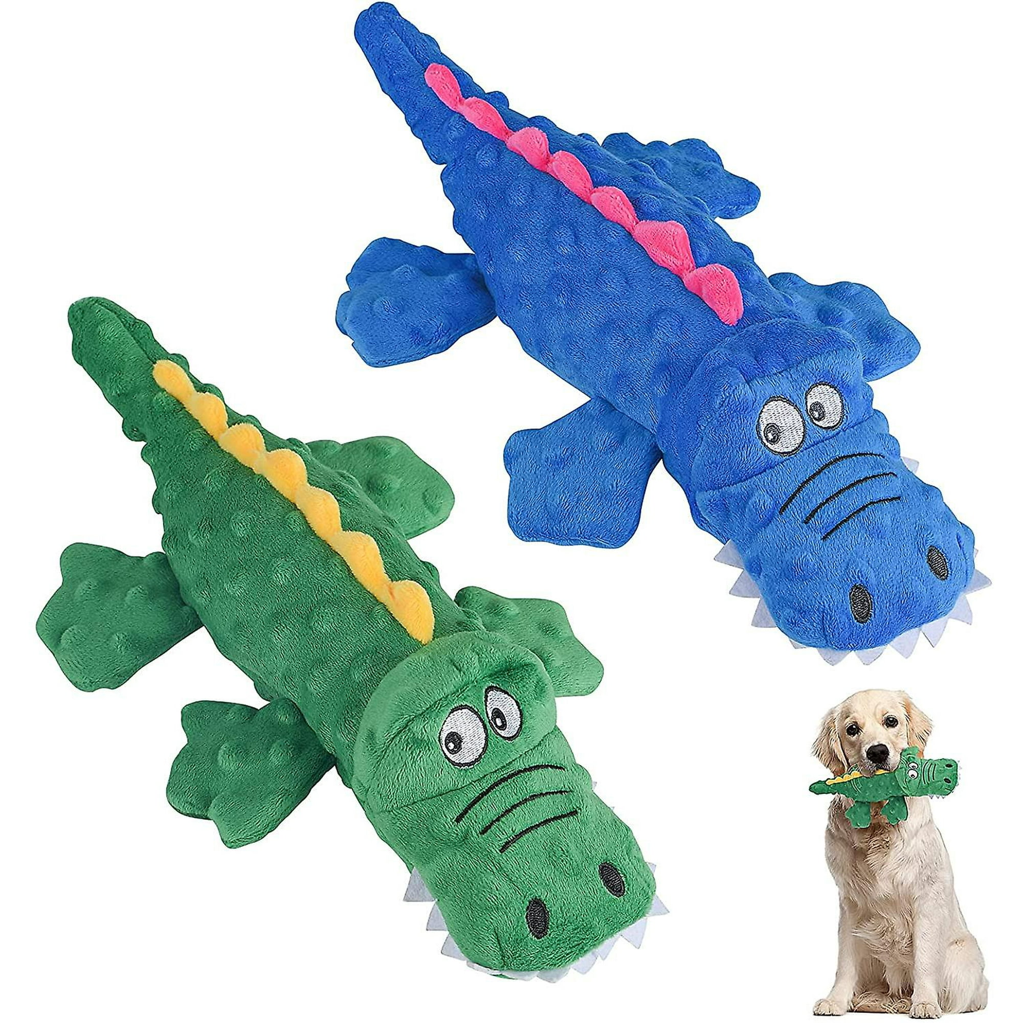 Why Does My Dog Chew Paper