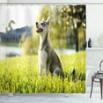 thumbnail image 1 of Ambesonne Alaskan Malamute Shower Curtain, Friendly, 69"Wx75"L, Multicolor, 1 of 3