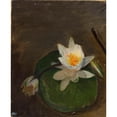 thumbnail image 2 of Jan Ciągliński 20x24 Gold Ornate Framed and Double Matted Museum Art Print Titled - Two Water Lilies on a Leaf, 2 of 4
