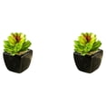 thumbnail image 1 of Matsuzay Bonsái en maceta de cerámica suculenta verde artificial con jarrón, planta de imitación, jardín, oficina, balcón, decoración al Type2 NO2, 1 of 6
