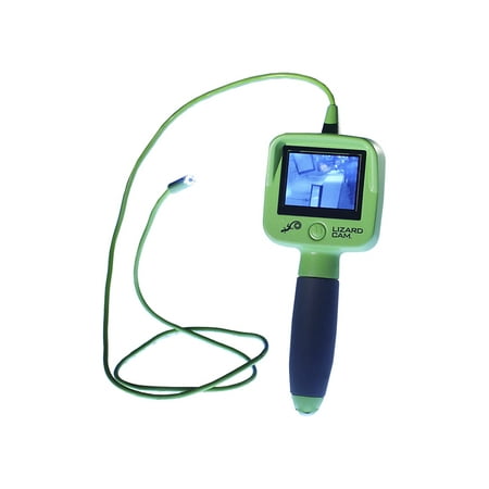 A Customer S Lizard Cam Review Does It Actually Work