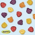 Mott's Fruit Flavored Snacks, Animals Assorted Fruit, Gluten Free, 40