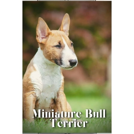 Miniature Bull Terrier