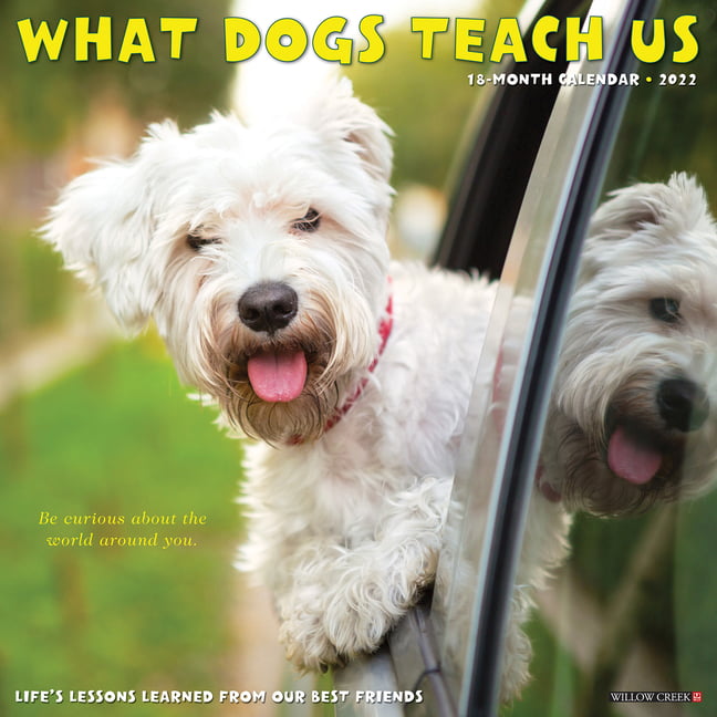 What Dogs Teach Us 2022 Wall Calendar (Other)