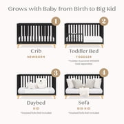 Delta Children Frankie 4-in-1 Convertible Crib - Greenguard Gold Certified, Black with Natural