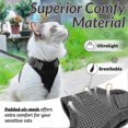thumbnail image 4 of Cat Harness And Leash For Walking, Escape Proof Soft Adjustable Vest Harnesses For Cats, Easy Control Breathable Jacket, Black, Xs, 4 of 4