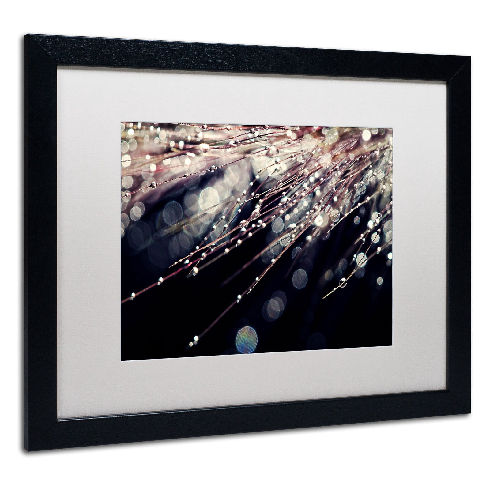 Trademark Fine Art "Little Wonders" Canvas Art by Beata Czyzowska Young, White Matte, Black Frame