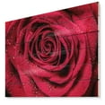 thumbnail image 1 of Design Art - Red Rose Petals with Rain Droplets, 1 of 5