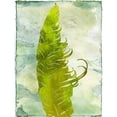 thumbnail image 3 of Lewis, Sheldon 15x18 Black Modern Framed Museum Art Print Titled - Contemporary Flock, 3 of 5