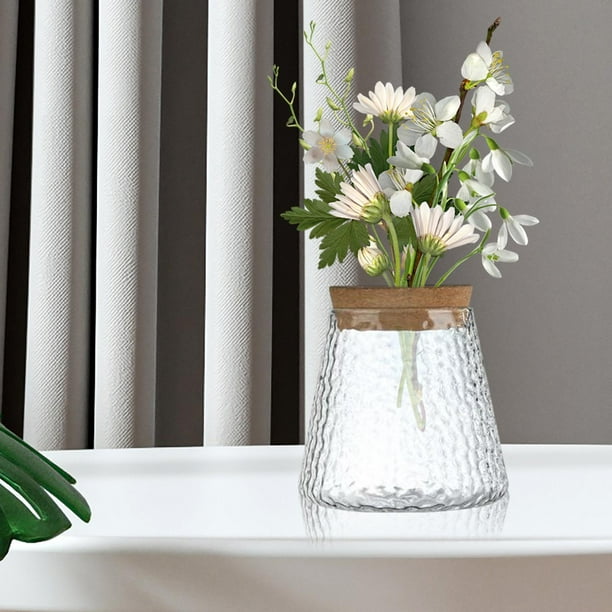 Macetero de vidrio para escritorio, florero hidropónico, florero de vidrio para plantar agua, florero, planta, botella de vidrio para estantería, mesa Textura
