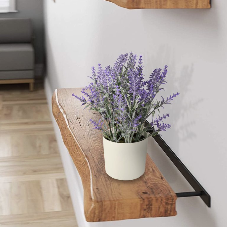 11-inch x 4-inch Artificial Lavender Plant in White Pot, Purple, for Indoor  Use, by Mainstays