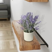 11-inch x 4-inch Artificial Lavender Plant in White Pot, Purple, for Indoor Use, by Mainstays