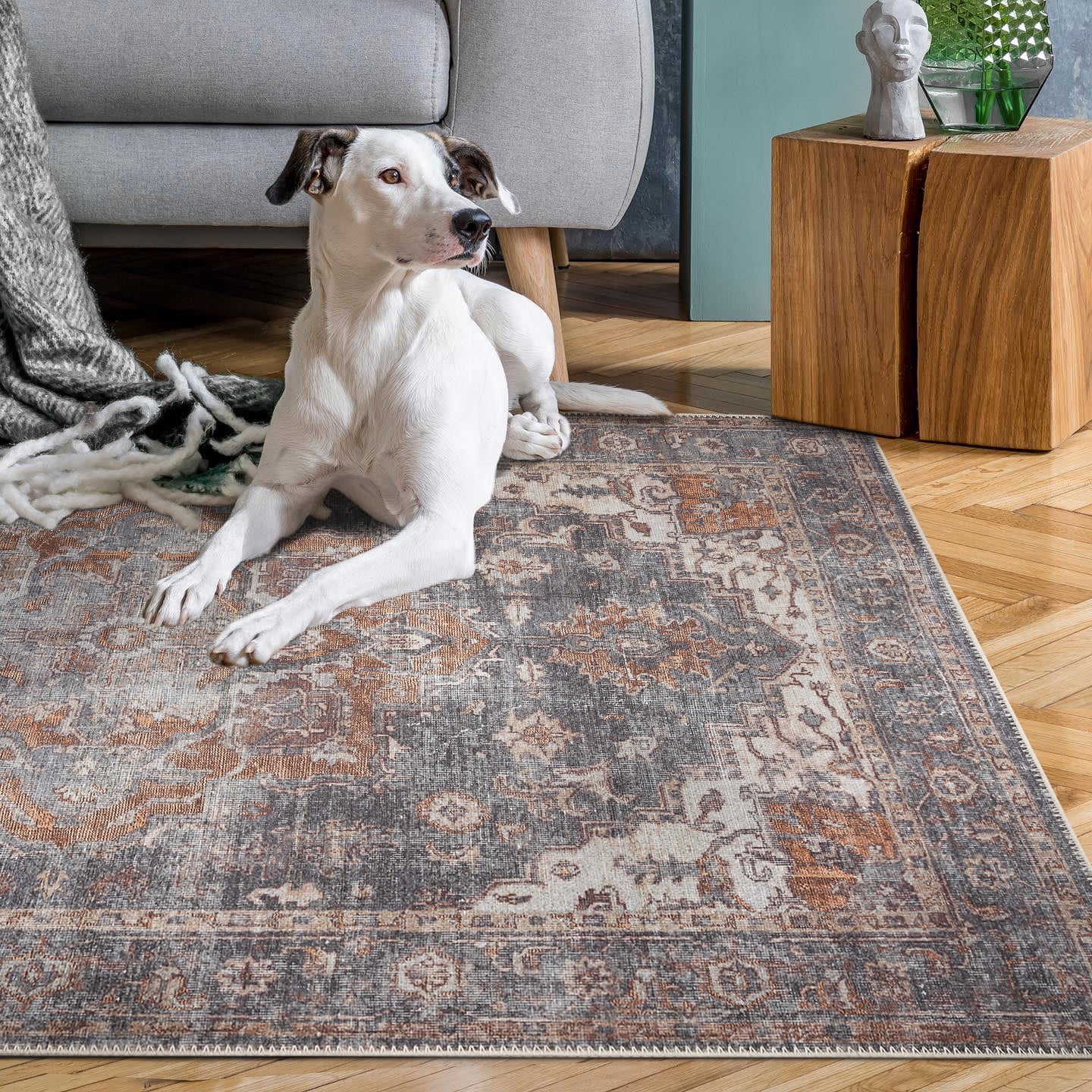 Adiva Rugs Machine Washable Area Rug with Non Slip Backing for Living Room, Bedroom, Bathroom, Kitchen, Printed Vintage Home Decor, Floor Decoration C Adiva Rugs Machine Washable Area Rug with Non Slip Backing for