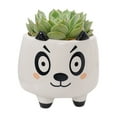 thumbnail image 1 of Flowerpots with Dish Ceramic, Animal Pot Ceramic Succulent Plant Pot Cactus Potted Planting Bonsai Pots Set, Flower Pots, 1 of 5