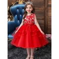 thumbnail image 3 of Girls Princess Dress Sleeveless Flower Embroidery Tutu Dress Performance Dress Wedding Flower Girls For Evening Birthday #5810, 3 of 5
