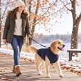 thumbnail image 5 of Dog Sweatshirt for Medium & Large Dogs, Warm Soft Pullover Fleece Vest, Cozy Home & Daily Wear Thermal Top for Fall Winter, 5 of 6