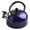 Blue, variant on Aoqianlan Stylish Whistling Kettle 3L Stainless Steel for Gas Electric Induction Silvery
