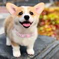 thumbnail image 5 of DizeyBoyo-Cute PU Leather Dog Collar - Rhinestone Flower Pattern Studded - 1 Inch Width Fit Small and Medium Dogs, 5 of 9