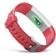 thumbnail image 3 of Accesorio de pulsera de repuesto colorido para reloj inteligente, 3 of 4