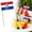C, variant on Different Countries Toothpick Flag,100 Pcs Mini Flags on Sticks for World Cup, Flag Cupcake Toppers for Olympics Party Decorations, International Toothpick Flags Cocktail Picks