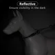 thumbnail image 5 of Plutus Pet Martingala Collar Para Perro Con Cadena De Acero, 5 of 7