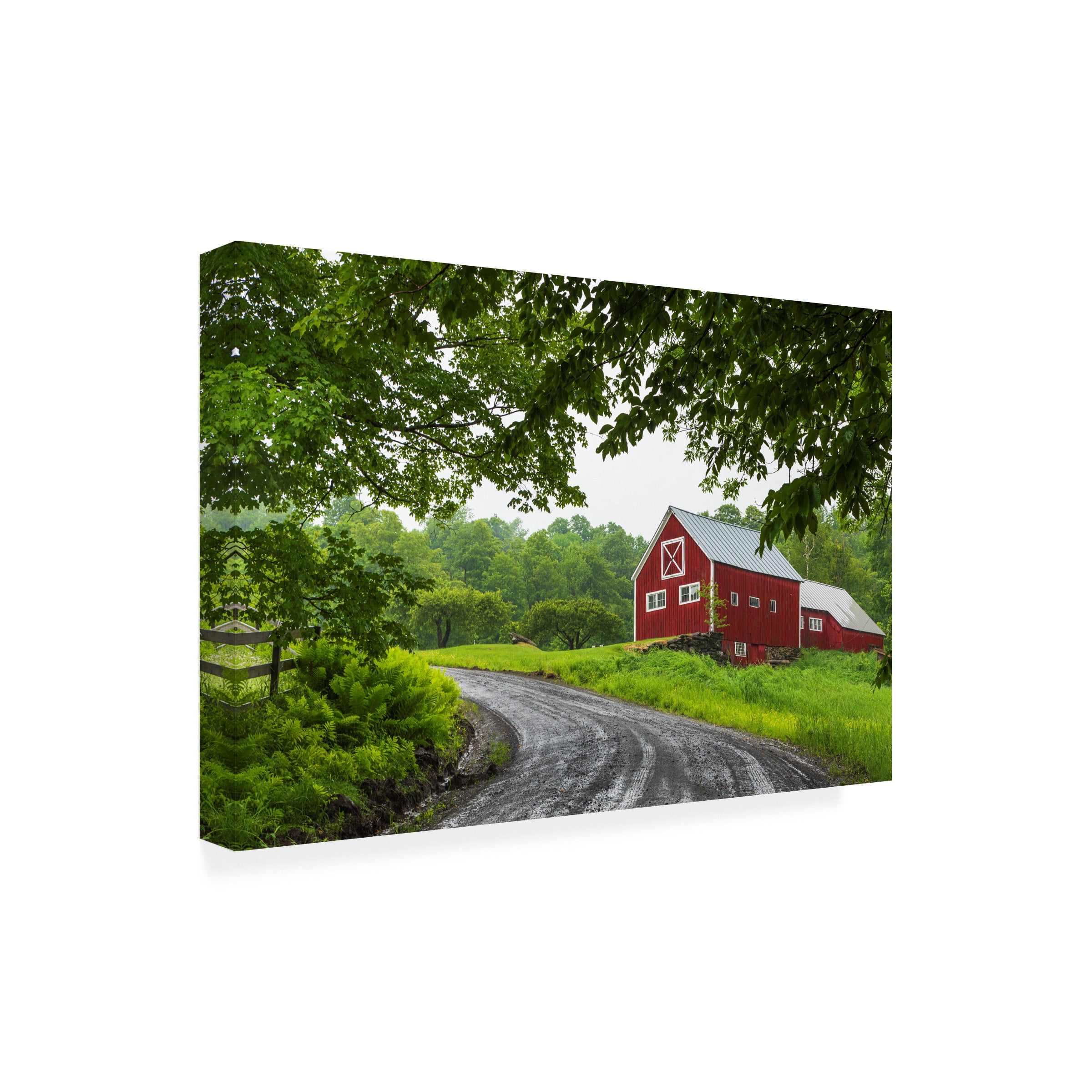 Brenda Petrella Photography LLC 'Coming Home' Canvas Art