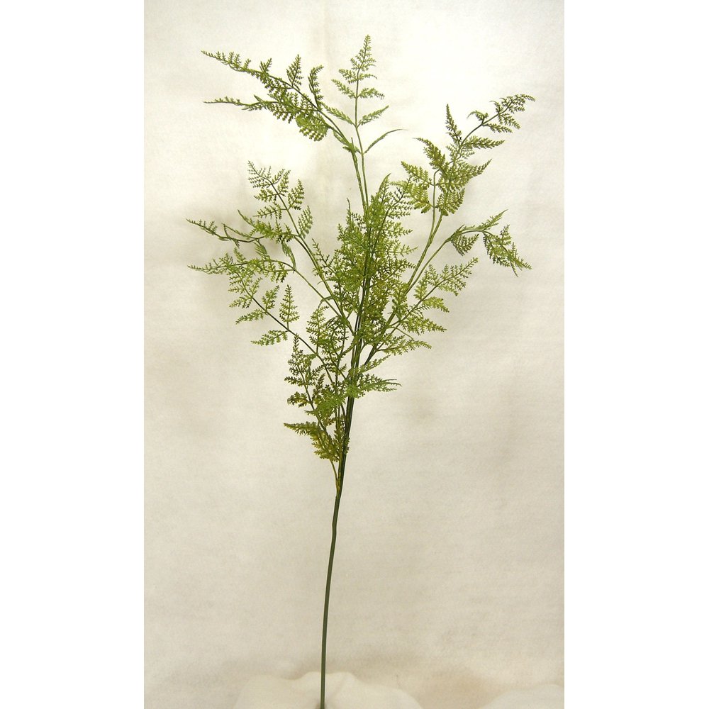 1 Pc, 35 Inch Tall Artificial Plumosa Fern Spray Features Branches Of