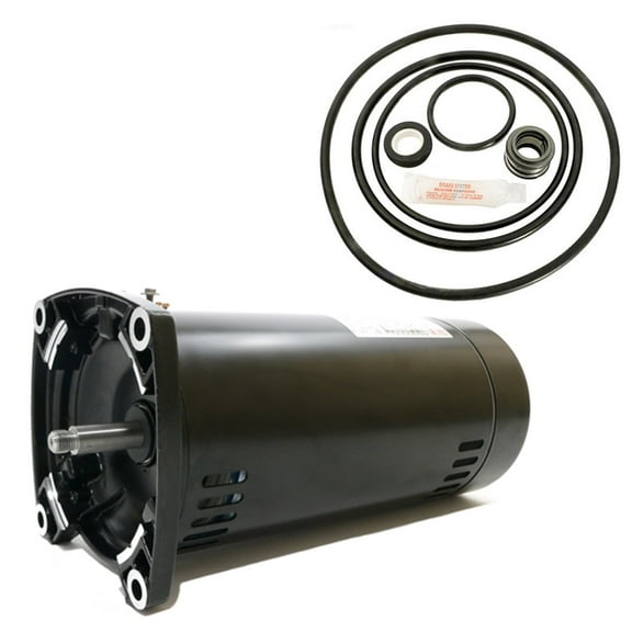 Puri Tech Sta-Rite Dyna-Max 1.5HP MPEA6F-148L Replacement Motor Kit AO Smith USQ1152 w/GO-KIT-47