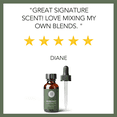 thumbnail image 5 of Pure Body Naturals 100% Pure Rosemary Essential Oil, 1 Fl. Oz., 5 of 8